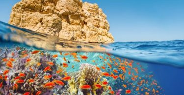 La strategia di sostenibilità di MSC Crociere