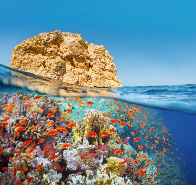 La strategia di sostenibilità di MSC Crociere